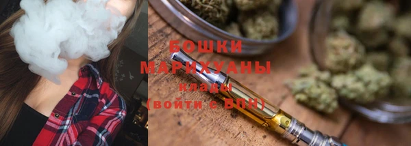 спиды Богородицк