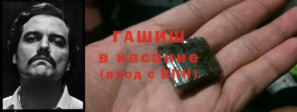 индика Богородск