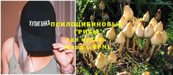 индика Богородск