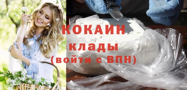 индика Богородск