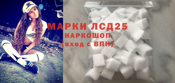 спиды Богородицк