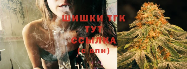 PSILOCYBIN Богданович
