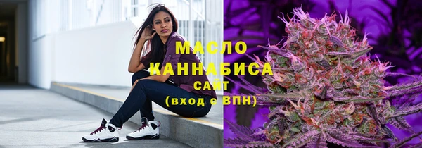 индика Богородск