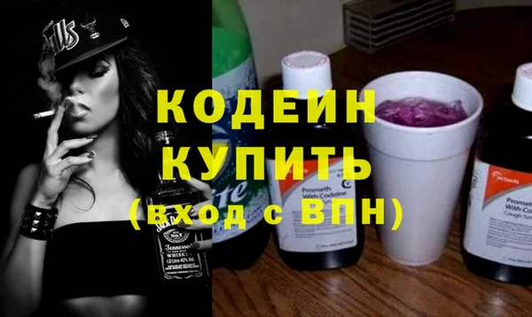 индика Богородск